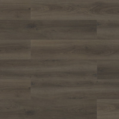 Paradigm Flooring Performer Plus Oriole PPPSPC2013 SPC Luxury Vinyl Plank 9” x 60" (22.38 SF/Box)