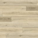 Paradigm Flooring Performer 20mil Oats PPSPC2029 SPC Luxury Vinyl Plank 9” x 60