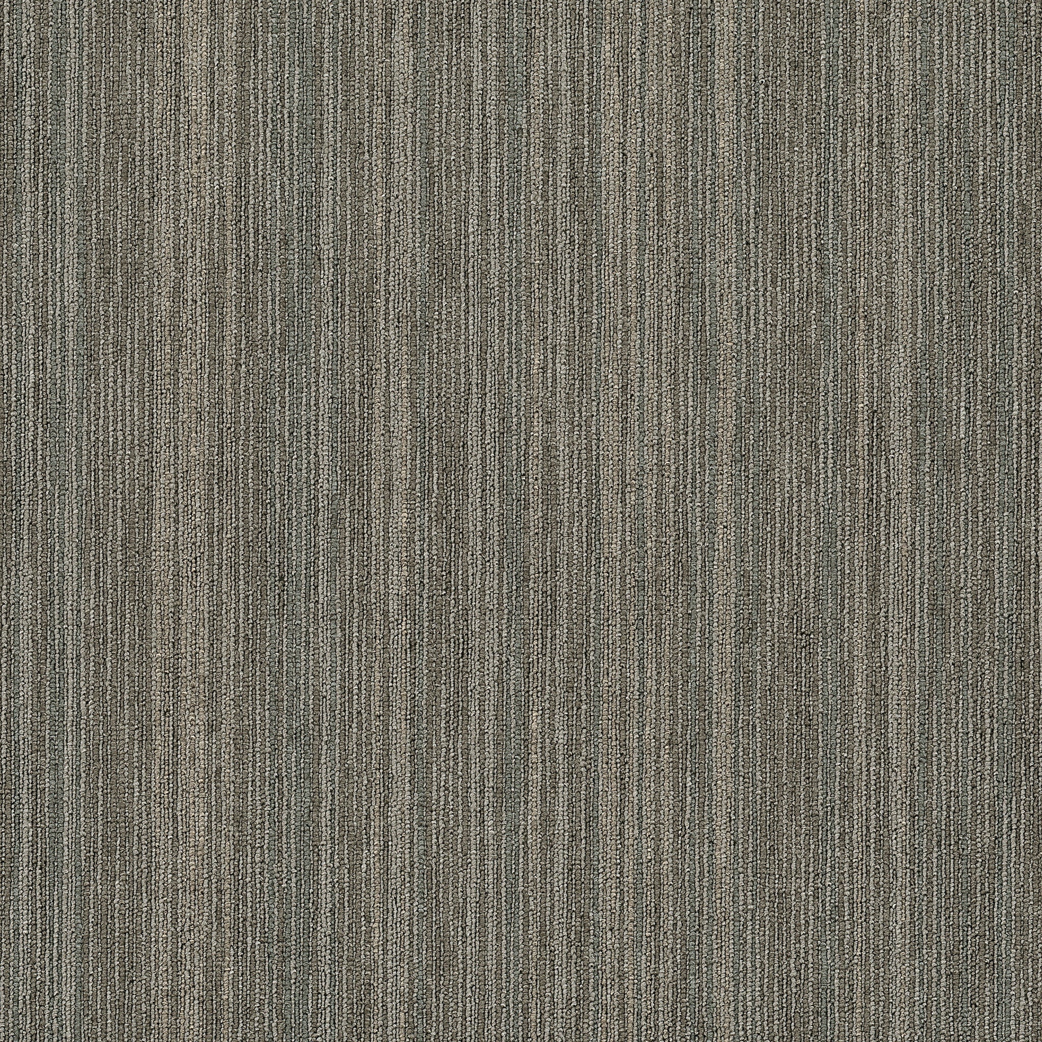 Philadelphia Commercial Praise 54882-82505 Masterful 24" x 24" Carpet Tile