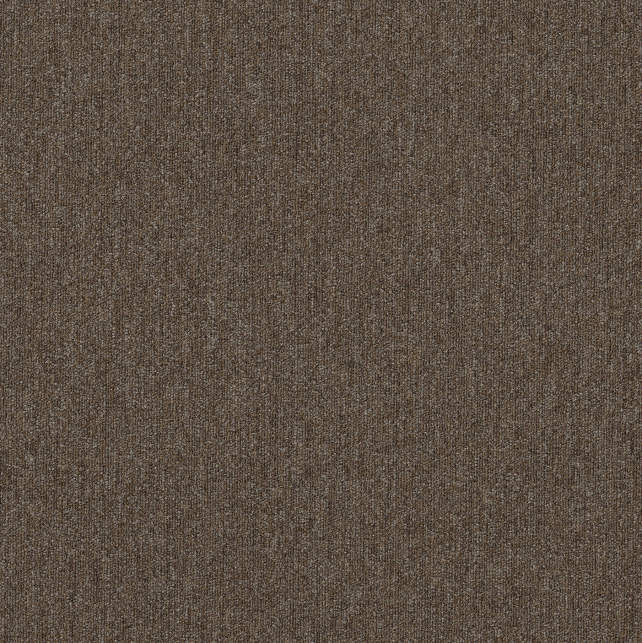Philadelphia Commercial Profusion Tile 54931-00700 Heaps 24" x 24" Carpet Tile
