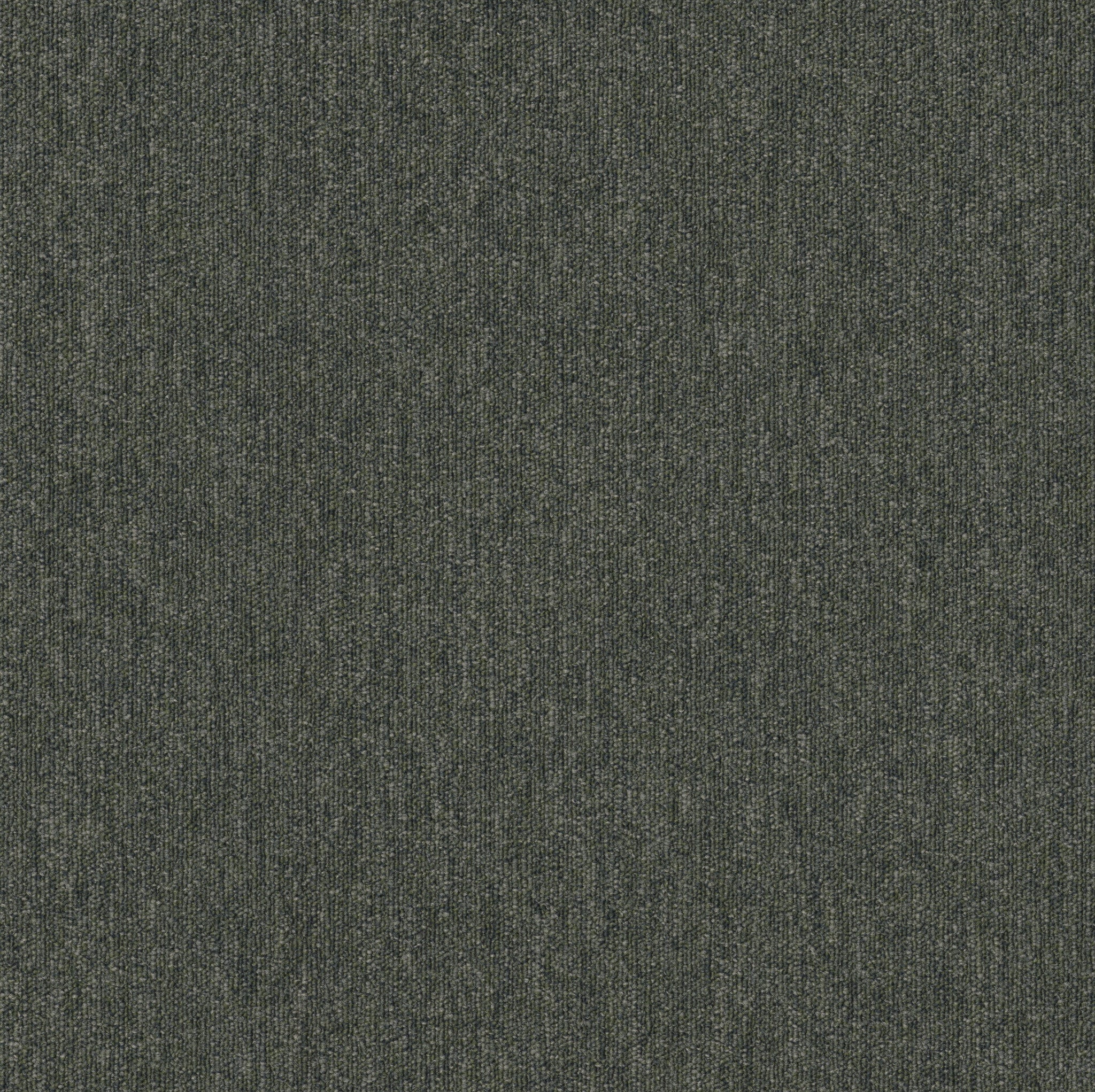 Philadelphia Commercial Profusion Tile 54931-00300 Stacks 24" x 24" Carpet Tile