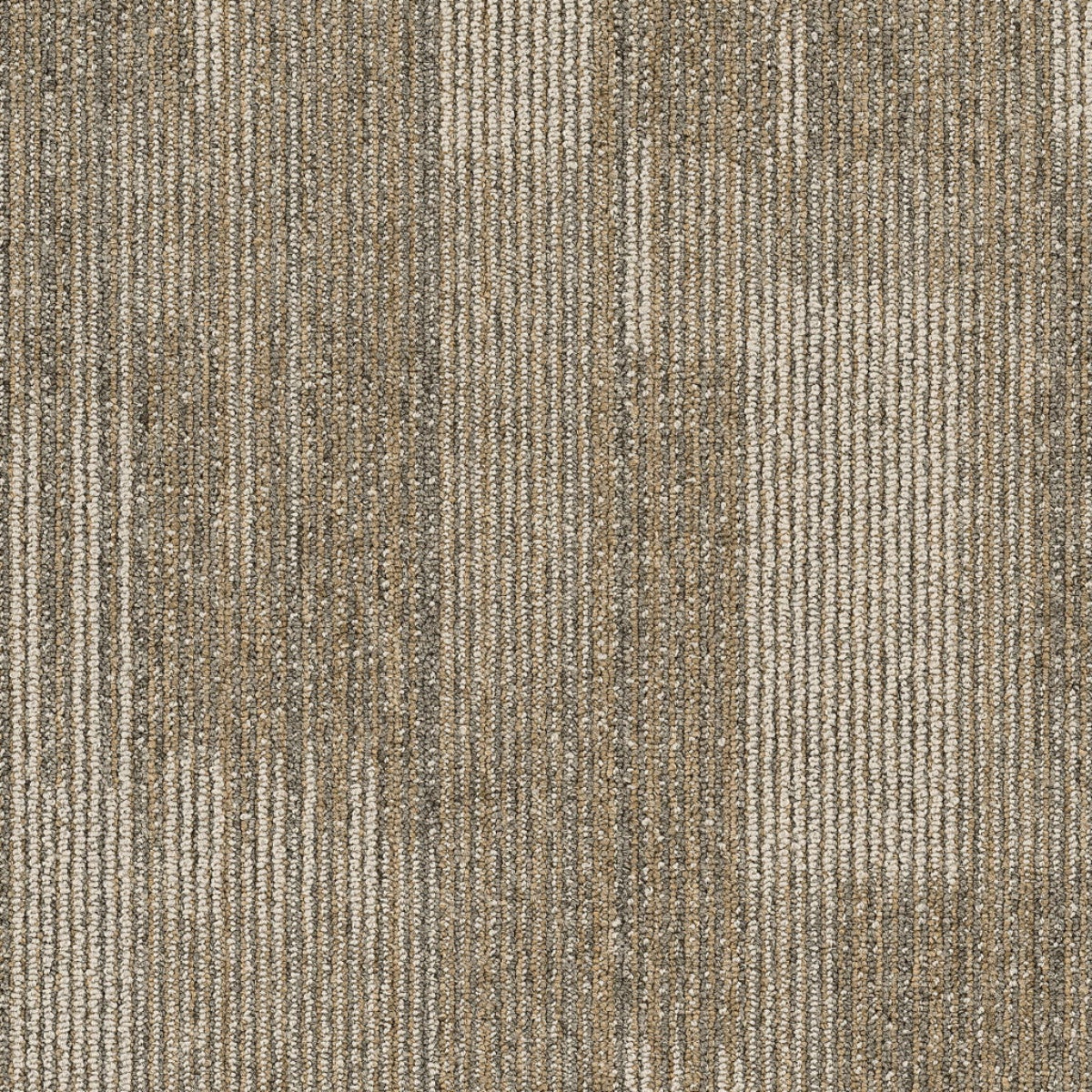 Philadelphia Commercial Pure Attitude 54842-00200 Astute 18" x 36" Carpet Tile