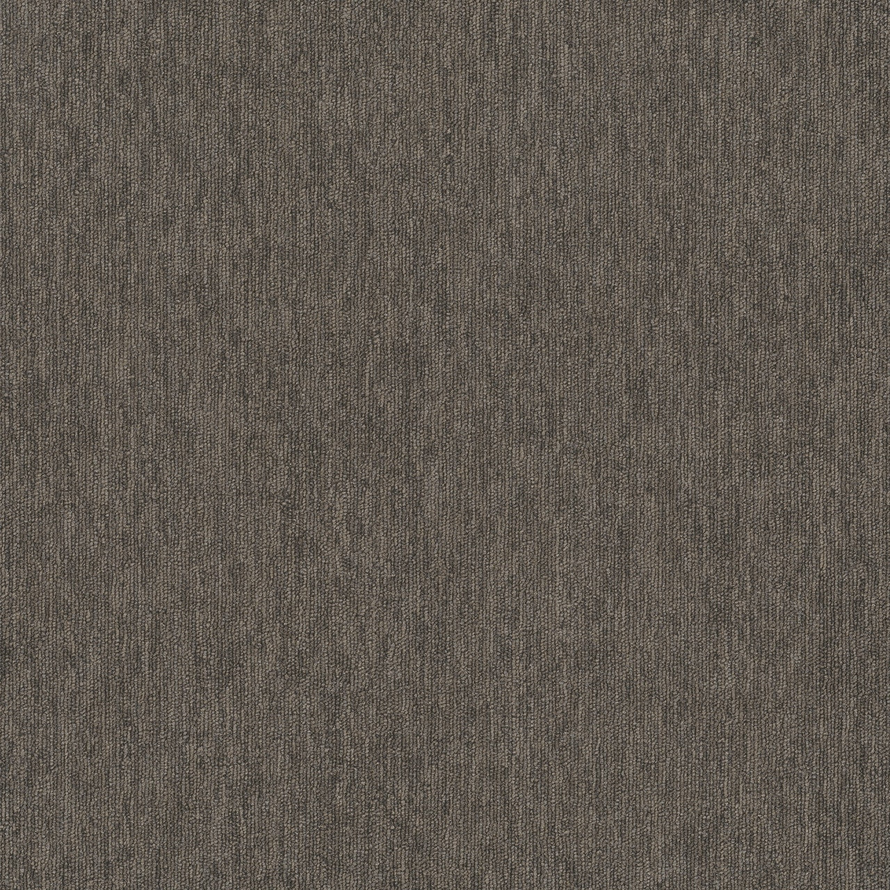 Pentz Carpet Imperial TS101-03 24" x 24" (72 SF/Box)
