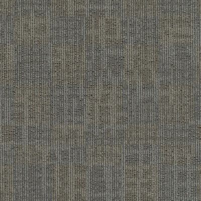 Pentz Carpet Techtonic II 7545T-3669 Environment 24" x 24" (72 SF/Box)