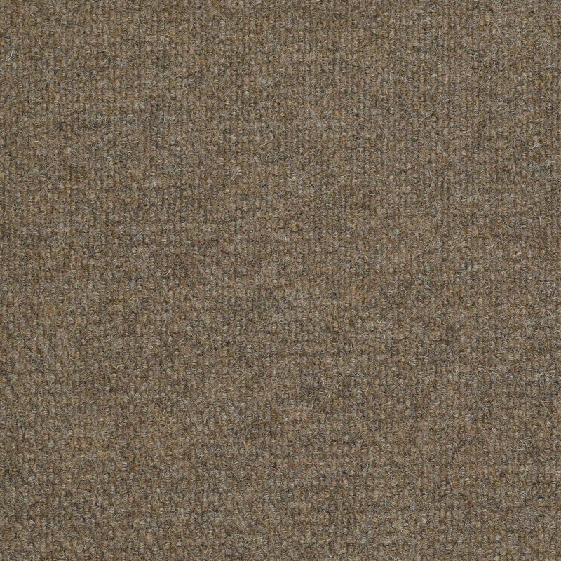 Philadelphia Succession II TL 54695-00700 Sierra Sand 24" x 24" Carpet Tile (48 SF/Box)