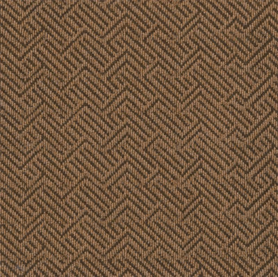 Philadelphia Tread On Me 54749-00701 Mesa Brown 24" x 24" Carpet Tile (48 SF/Box)