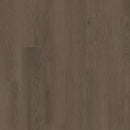 Philadelphia Willow Oak 12 Mil 5714V-07368 Foothills Oak 6