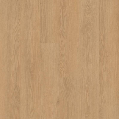 Philadelphia Willow Oak 20 Mil 5715V-01229 Golden Oak 6" x 48" Glue Down LVT (41.72 SF/Box)