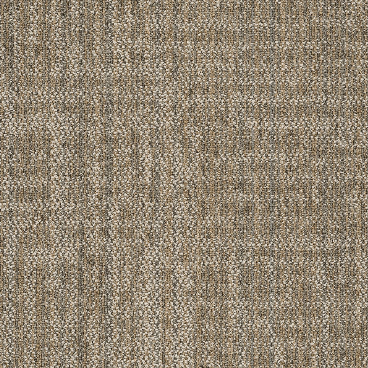 Philadelphia Commercial Raw Beauty 54843-00200 Astute 18" x 36" Carpet Tile
