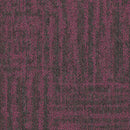 Philadelphia Beyond Basic Raw Beauty 54843-00910 Hotshot 18