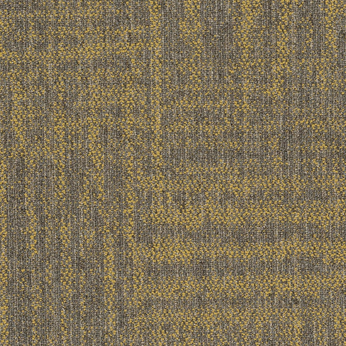 Philadelphia Commercial Raw Beauty 54843-00210 Radiant 18" x 36" Carpet Tile