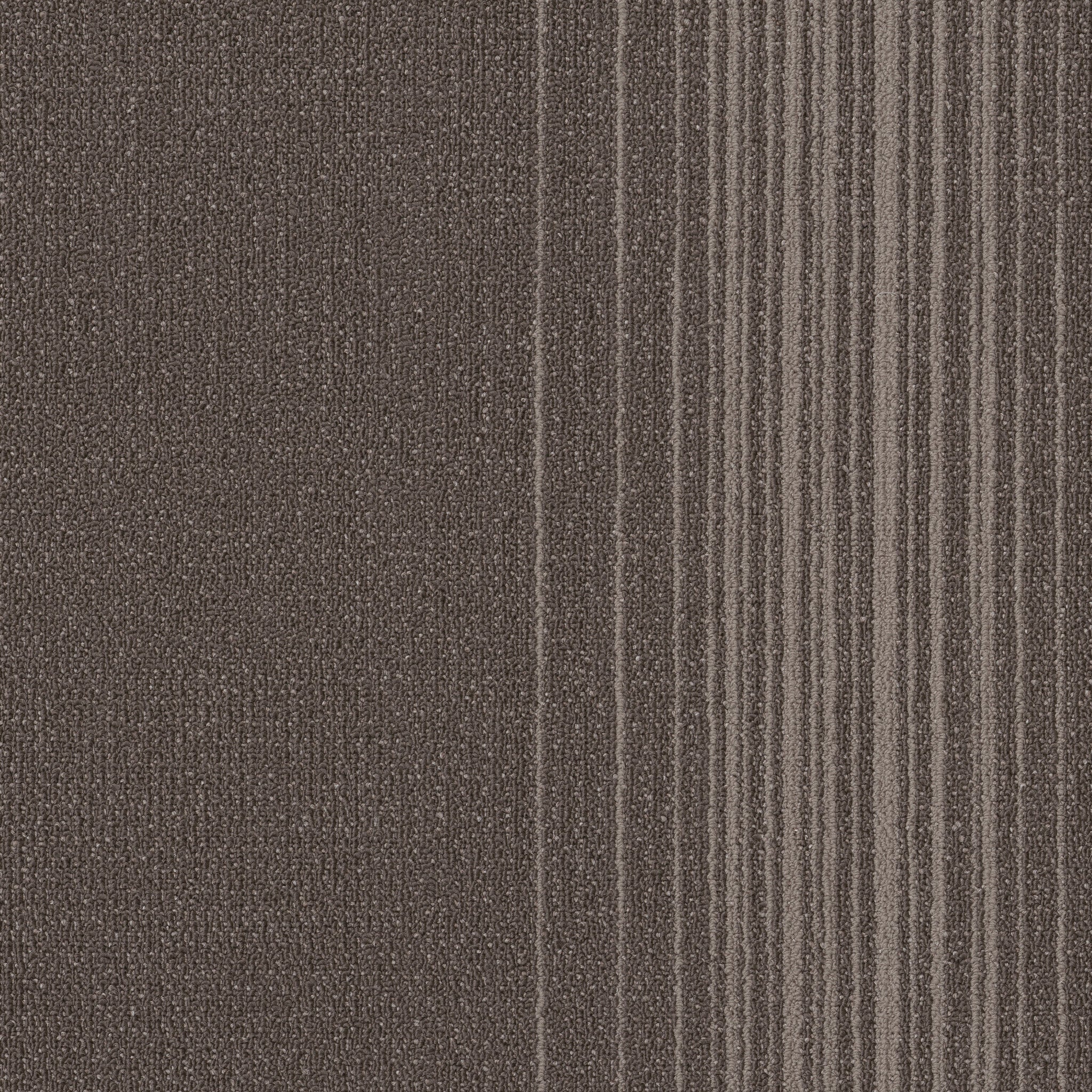 Philadelphia Commercial Realign 54971-00710 Mature 24" x 24" Carpet Tile