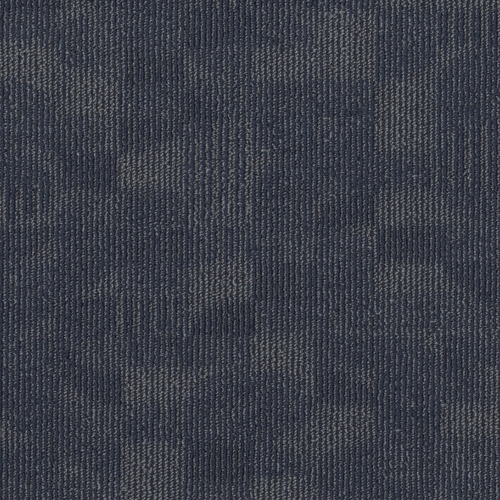 REFOCUS-55005-MORPH-00406