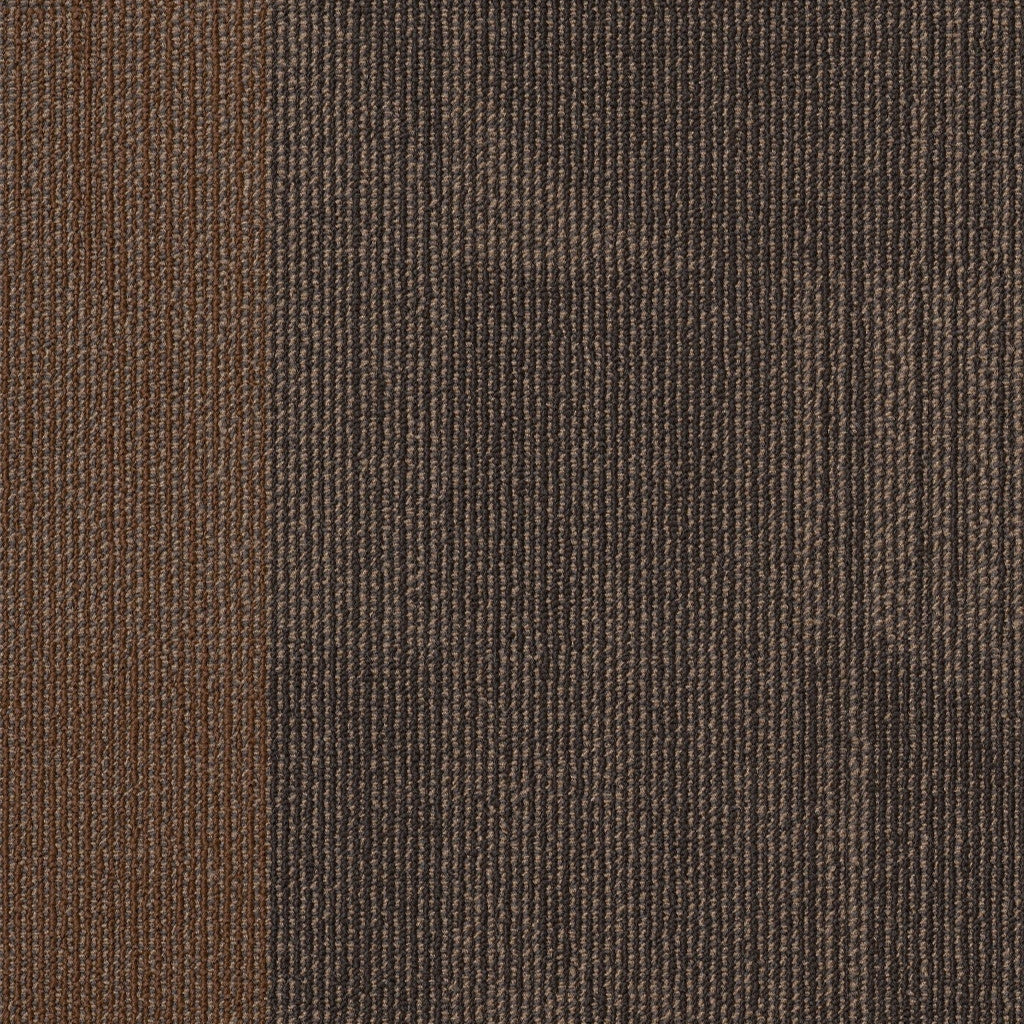 Philadelphia Commercial Reset 55006-00705 Alter 18" x 36" Carpet Tile