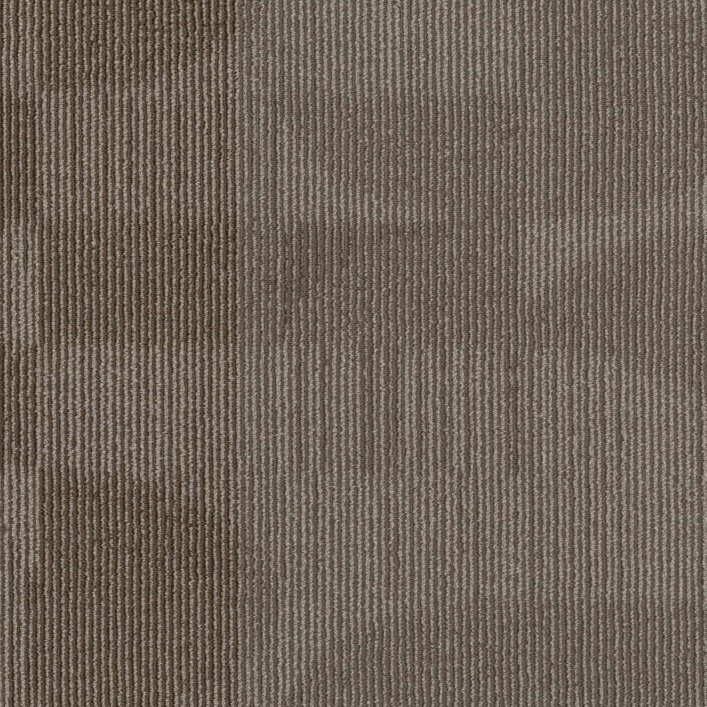 RESET-55006-SHIFT-00700