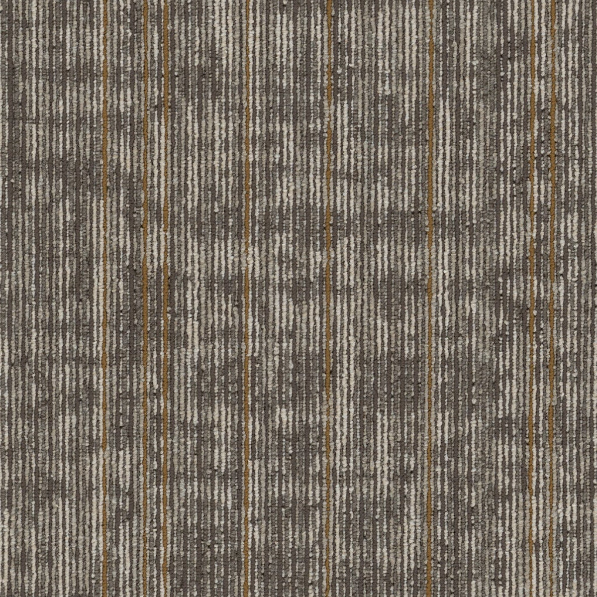 Philadelphia Commercial Rise Up 54997-00102 Inspire 18" x 36" Carpet Tile