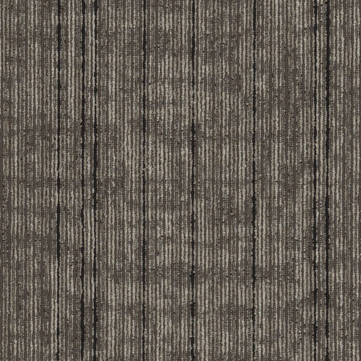 Philadelphia Commercial Rise Up 54997-00205 Invest 18" x 36" Carpet Tile