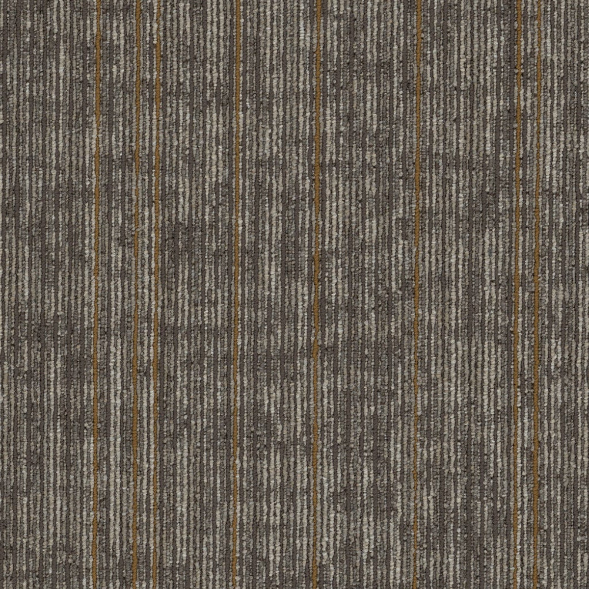 Philadelphia Commercial Rise Up 54997-00202 Motivate 18" x 36" Carpet Tile