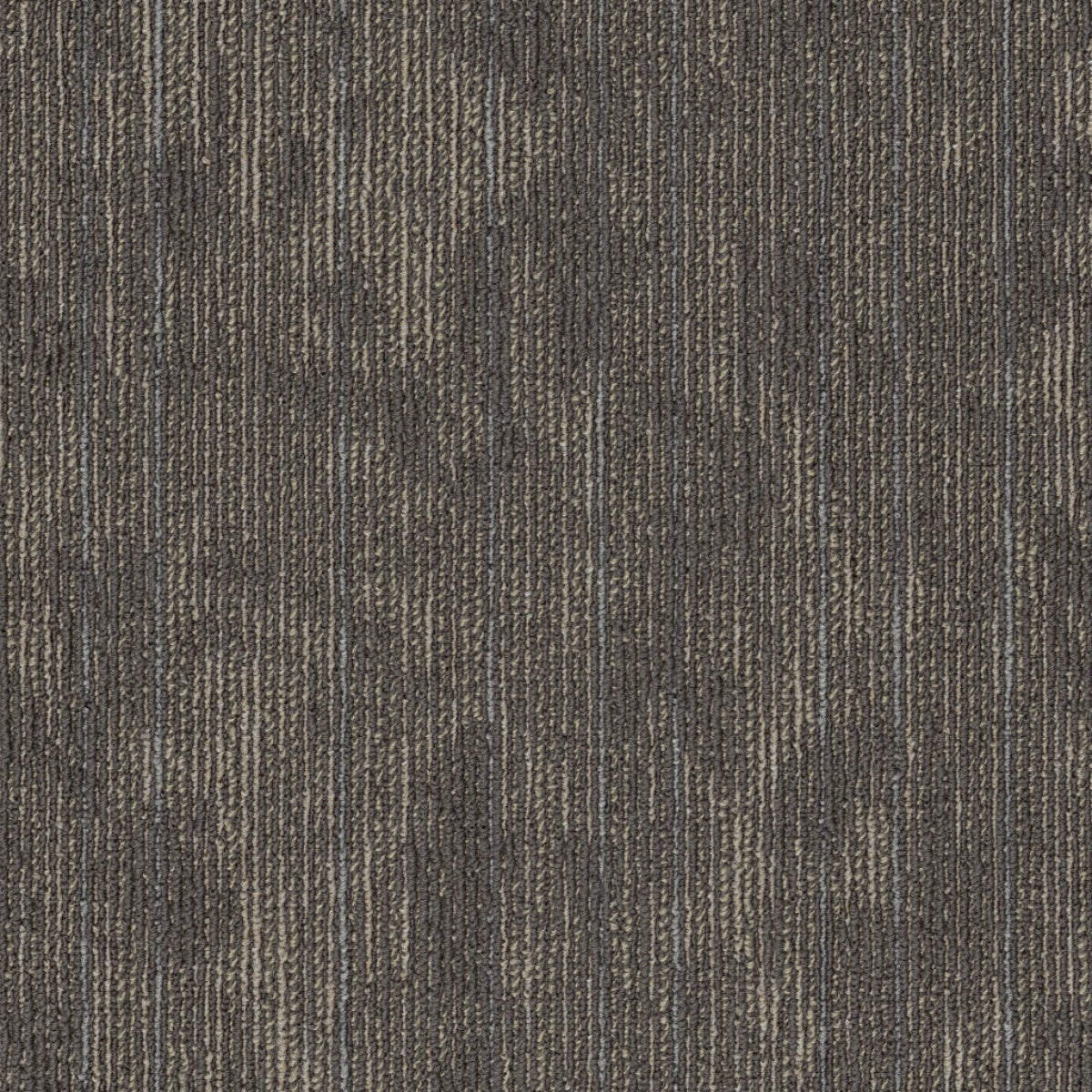 Philadelphia Commercial Shared Force 54993-93506 Dexterous 18" x 36" Carpet Tile
