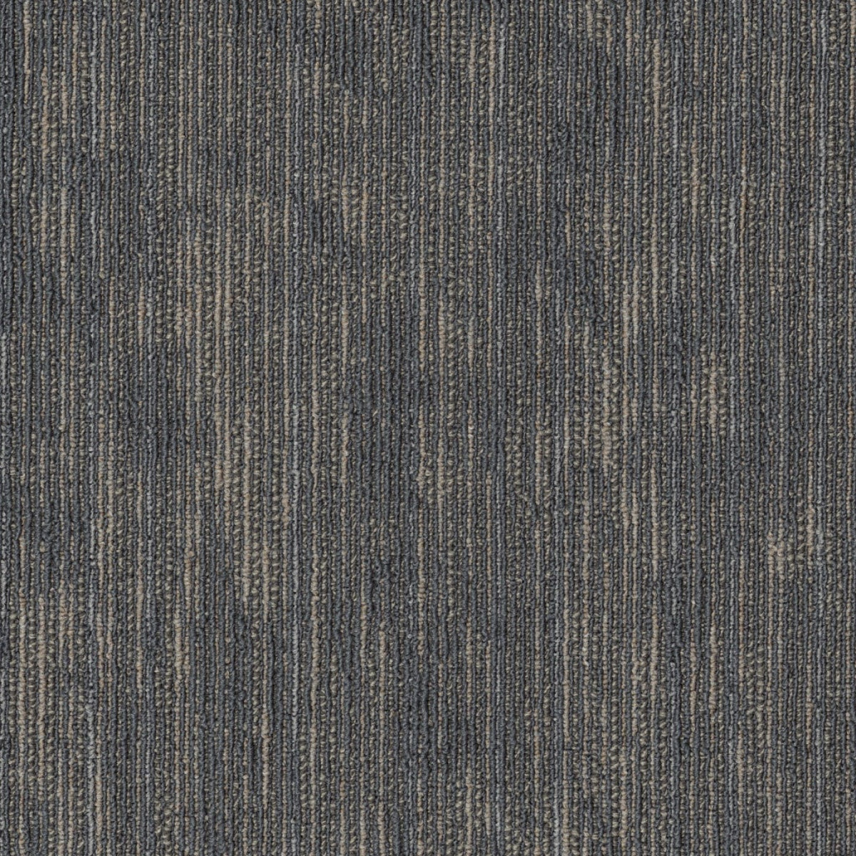 Philadelphia Commercial Shared Force 54993-93500 Dynamic 18" x 36" Carpet Tile