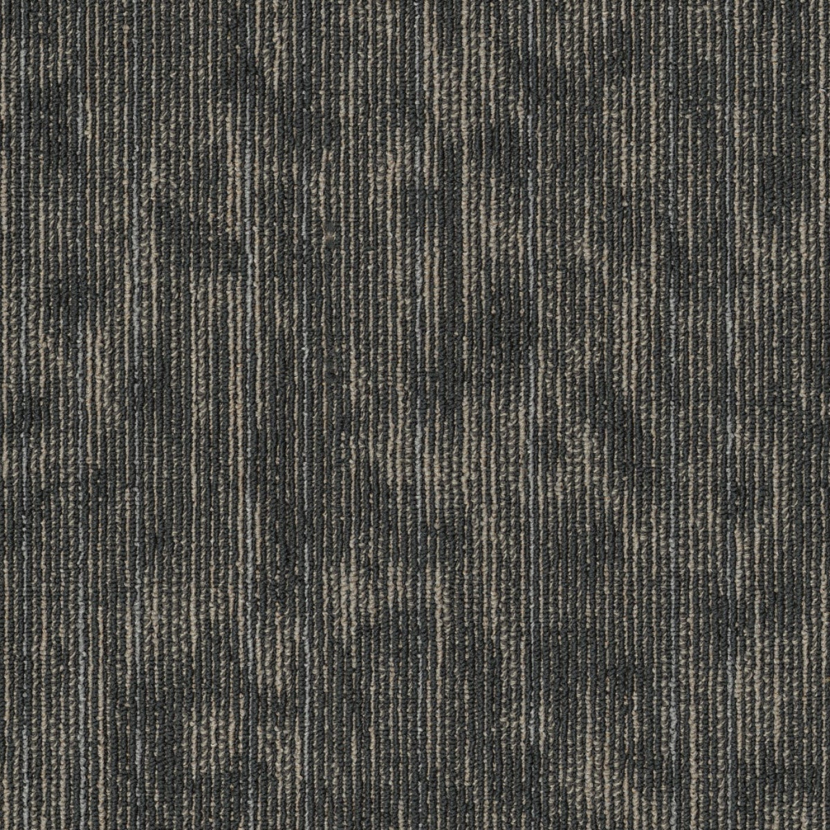 Philadelphia Commercial Shared Force 54993-93510 Enthusiastic 18" x 36" Carpet Tile