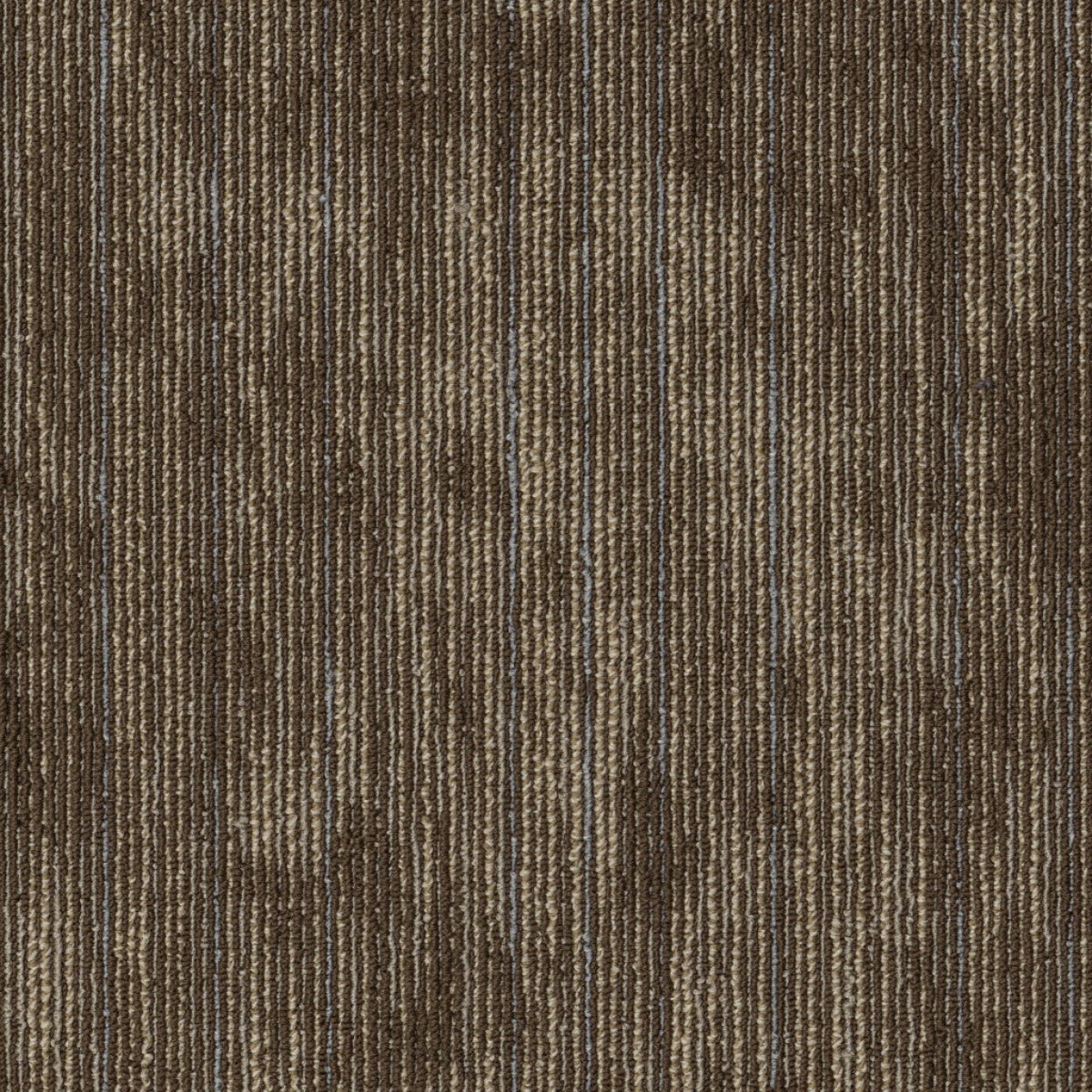 Philadelphia Commercial Shared Force 54993-93205 Vigorous 18" x 36" Carpet Tile