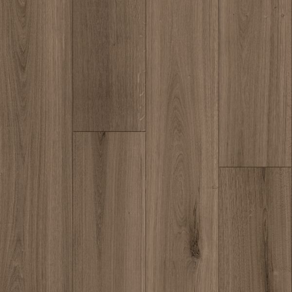 Armstrong Biome ST253 Uluru Luxury Vinyl Tile (Partial Piece - Sample)