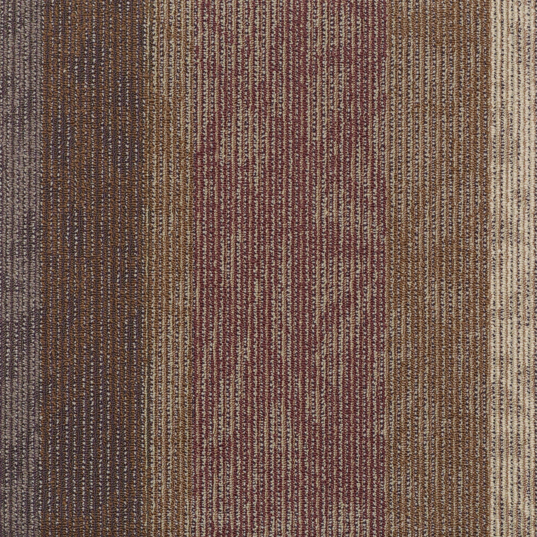 Philadelphia Interference Collection Static 54564-00902 Echo 24