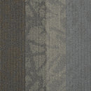 Philadelphia Interference Collection Static 54564-00501 Velocity 24