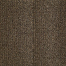 Philadelphia Commercial Step On It 54587-87200 Early Bird (Partial Piece - Sample)