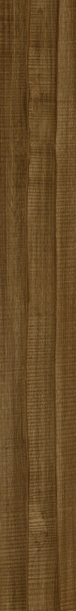 Philadelphia Commercial Sustain 12 Mil 5534V-07007 Oakwood (Partial Piece - Sample)