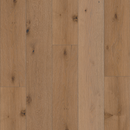 Shaw Expressions 9.5