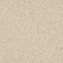 Armstrong Premium Excelon Crown Texture 5C858 Sandrift White VCT Tile (Partial Piece - Sample)
