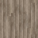 Shaw Symbiotic 20 5M303-00170 Medium Greige Faviken 5.96