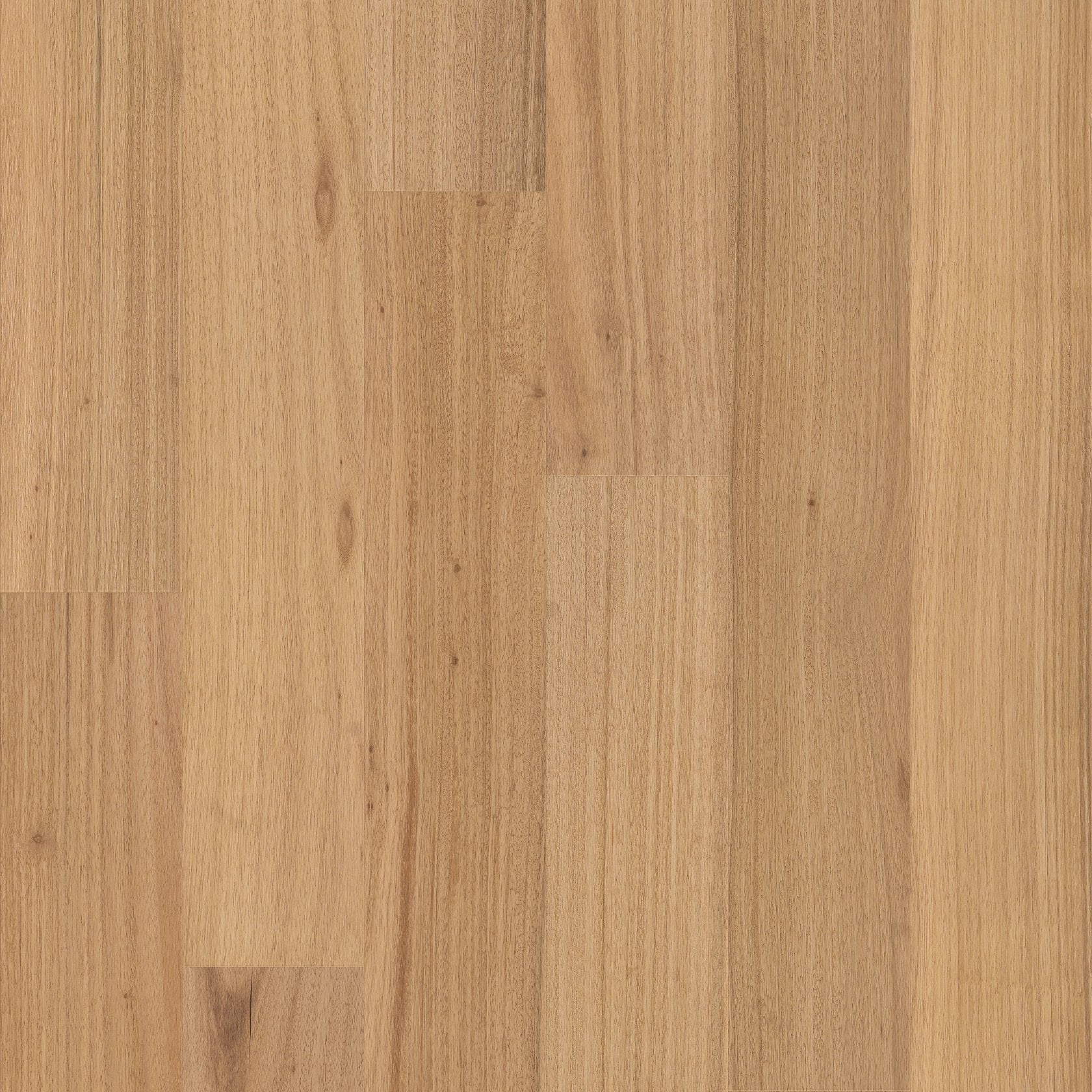 Shaw Bridgewater Eucalyptus SW790-01177 Sundrift 6.5" x Random Lengths up to 74.8" Engineered Hardwood