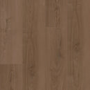 Shaw Floorte Titan HD Plus 2002V-07379 Aged Saddle 8.98