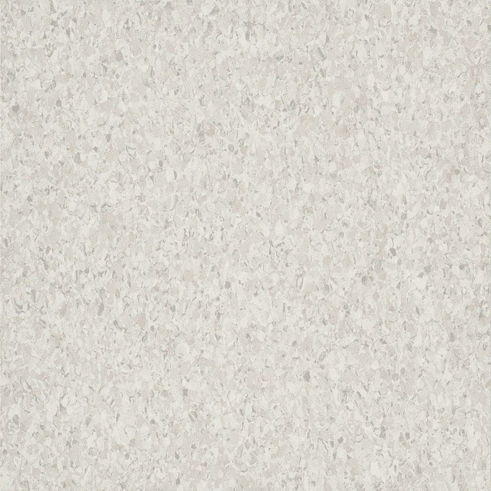 Armstrong Premium Excelon Crown Texture 5C234 Silk VCT Tile (Partial Piece - Sample)