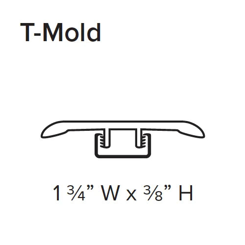 Stanton WPC T-Mold 94" Coordinated Color