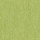 Tarkett / Johnsonite iQ Optima TAR3242861 Clover Leaf Homogeneous Sheet Vinyl (6'6