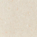 Tarkett / Johnsonite VCT II 329 Pebble Vinyl Composition Tile (Partial Piece - Sample)