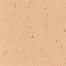Tarkett / Johnsonite VCT II 571 Earth Vinyl Composition Tile (Partial Piece - Sample)
