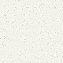Tarkett / Johnsonite iQ Eminent Homogeneous Sheet TAR21030904 White (Partial Piece - Sample)