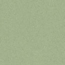 Tarkett / Johnsonite Melodia Homogeneous Sheet TAR21020976 Aloe Plant (Partial Piece - Sample)