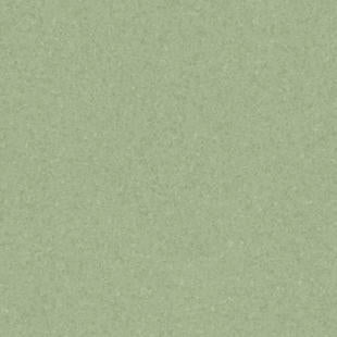 Tarkett / Johnsonite Melodia Homogeneous Sheet TAR21020976 Aloe Plant (Partial Piece - Sample)