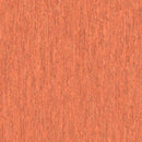 Tarkett / Johnsonite iQ Optima TAR3242258 Monarch Flying Homogeneous Sheet Vinyl (6'6