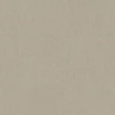 Tarkett / Johnsonite LinoFloor Emme Linoleum Sheet TAR14235201 Cenere (Partial Piece - Sample)