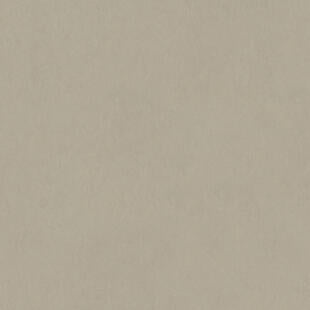 Tarkett / Johnsonite LinoFloor Emme Linoleum Sheet TAR14235201 Cenere (Partial Piece - Sample)