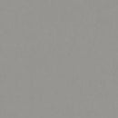 Tarkett / Johnsonite LinoFloor Emme Linoleum Sheet TAR14235202 Cemento (Partial Piece - Sample)