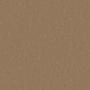 Tarkett / Johnsonite LinoFloor Emme Linoleum Sheet TAR14235731 Cinnamon (Partial Piece - Sample)