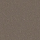 Tarkett / Johnsonite LinoFloor Emme Linoleum Sheet TAR14235732 Cedar (Partial Piece - Sample)